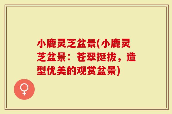 小鹿灵芝盆景(小鹿灵芝盆景:苍翠挺拔,造型优美的观赏盆景)-第1张图片-灵芝大师 小鹿灵芝盆景(小鹿灵芝盆景:苍翠挺拔,造型优美的观赏盆景)-第1张图片-灵芝大师