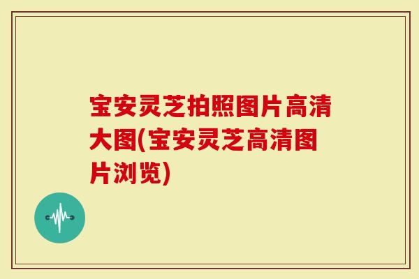 宝安灵芝拍照图片高清大图(宝安灵芝高清图片浏览)