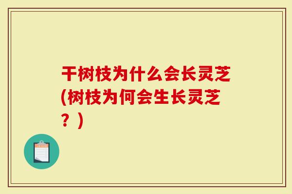 干树枝为什么会长灵芝(树枝为何会生长灵芝?)-第1张图片-灵芝大师 干树枝为什么会长灵芝(树枝为何会生长灵芝?)-第1张图片-灵芝大师