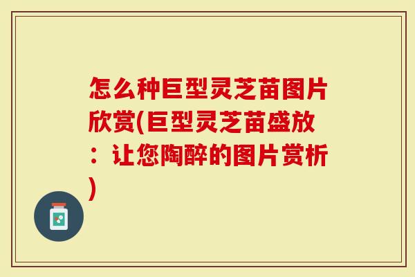 怎么种巨型灵芝苗图片欣赏(巨型灵芝苗盛放：让您陶醉的图片赏析)