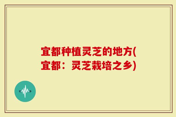 宜都种植灵芝的地方(宜都：灵芝栽培之乡)