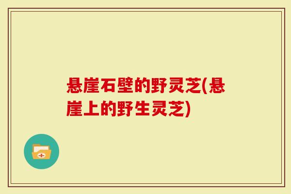 悬崖石壁的野灵芝(悬崖上的野生灵芝)