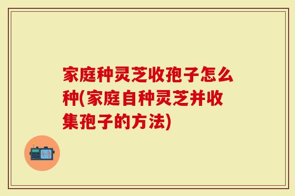 家庭种灵芝收孢子怎么种(家庭自种灵芝并收集孢子的方法)
