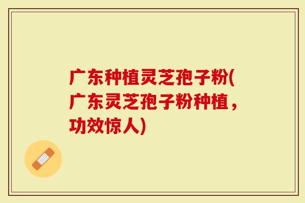 广东种植灵芝孢子粉(广东灵芝孢子粉种植，功效惊人)