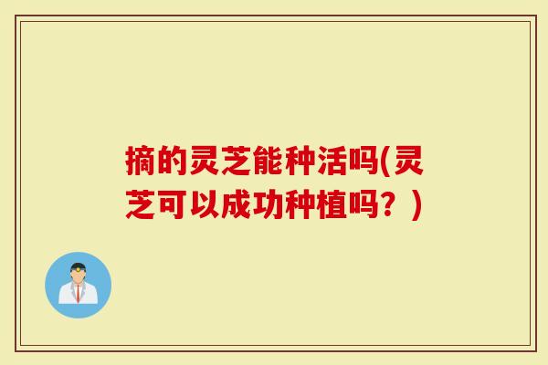 摘的灵芝能种活吗(灵芝可以成功种植吗？)