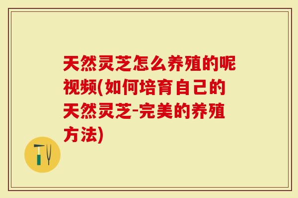 天然灵芝怎么养殖的呢视频(如何培育自己的天然灵芝-完美的养殖方法)-第1张图片-灵芝大师 天然灵芝怎么养殖的呢视频(如何培育自己的天然灵芝-完美的养殖方法)-第1张图片-灵芝大师