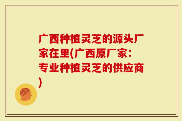广西种植灵芝的源头厂家在里(广西原厂家:专业种植灵芝的供应商)-第1张图片-灵芝大师 广西种植灵芝的源头厂家在里(广西原厂家:专业种植灵芝的供应商)-第1张图片-灵芝大师