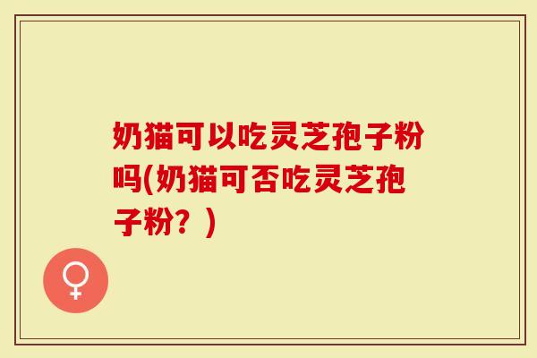 奶猫可以吃灵芝孢子粉吗(奶猫可否吃灵芝孢子粉？)