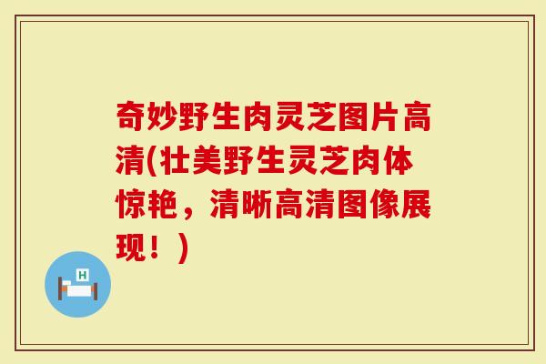 奇妙野生肉灵芝图片高清(壮美野生灵芝肉体惊艳，清晰高清图像展现！)