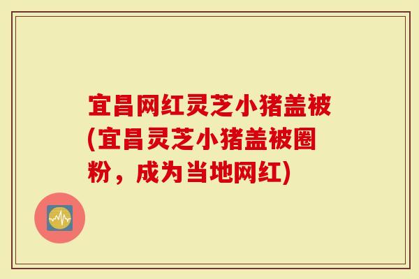 宜昌网红灵芝小猪盖被(宜昌灵芝小猪盖被圈粉，成为当地网红)