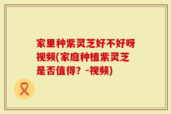 家里种紫灵芝好不好呀视频(家庭种植紫灵芝是否值得？-视频)