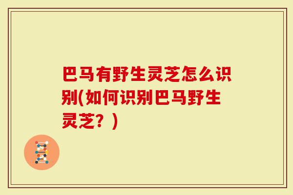 巴马有野生灵芝怎么识别(如何识别巴马野生灵芝？)