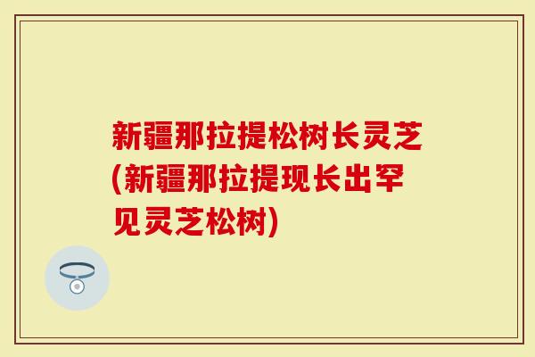 新疆那拉提松树长灵芝(新疆那拉提现长出罕见灵芝松树)