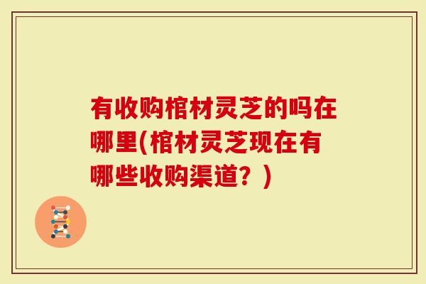 有收购棺材灵芝的吗在哪里(棺材灵芝现在有哪些收购渠道？)