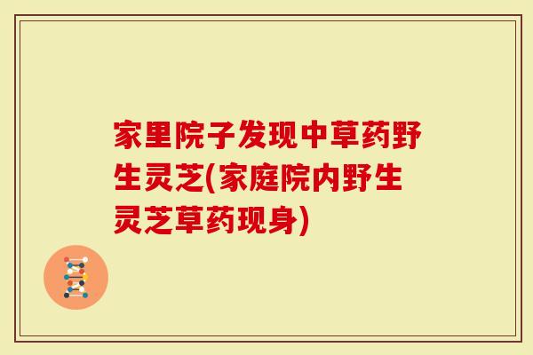 家里院子发现中草药野生灵芝(家庭院内野生灵芝草药现身)