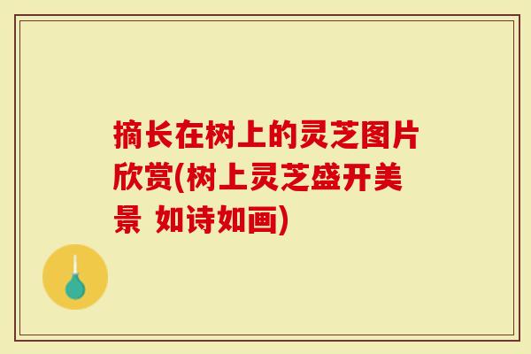 摘长在树上的灵芝图片欣赏(树上灵芝盛开美景 如诗如画)-第1张图片-灵芝大师 摘长在树上的灵芝图片欣赏(树上灵芝盛开美景 如诗如画)-第1张图片-灵芝大师