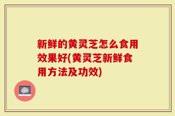 新鲜的黄灵芝怎么食用效果好(黄灵芝新鲜食用方法及功效)