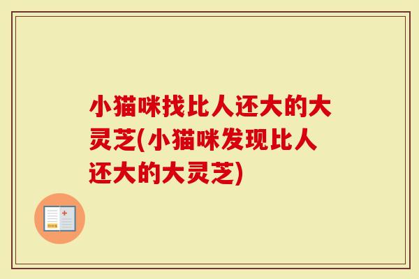 小猫咪找比人还大的大灵芝(小猫咪发现比人还大的大灵芝)-第1张图片-灵芝大师 小猫咪找比人还大的大灵芝(小猫咪发现比人还大的大灵芝)-第1张图片-灵芝大师