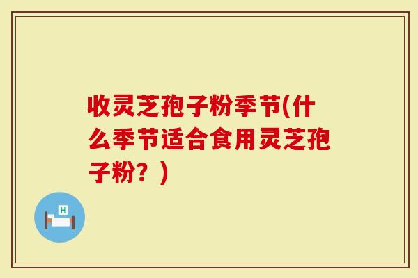 收灵芝孢子粉季节(什么季节适合食用灵芝孢子粉?)-第1张图片-灵芝大师 收灵芝孢子粉季节(什么季节适合食用灵芝孢子粉?)-第1张图片-灵芝大师