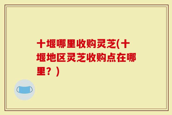十堰哪里收购灵芝(十堰地区灵芝收购点在哪里？)