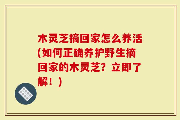 木灵芝摘回家怎么养活(如何正确养护野生摘回家的木灵芝？立即了解！)