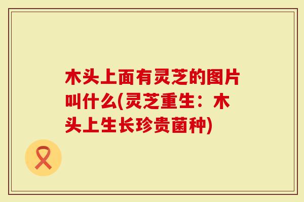 木头上面有灵芝的图片叫什么(灵芝重生：木头上生长珍贵菌种)