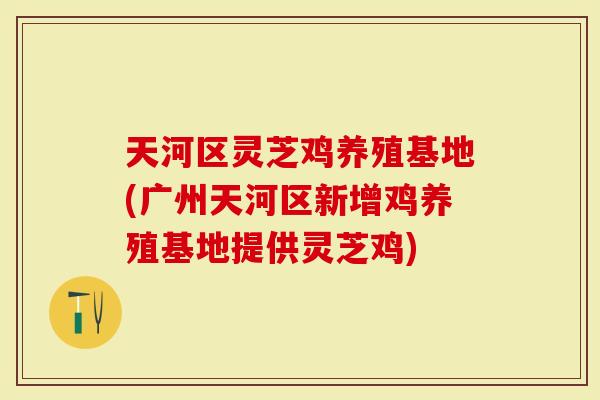 天河区灵芝鸡养殖基地(广州天河区新增鸡养殖基地提供灵芝鸡)