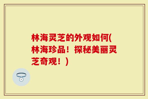 林海灵芝的外观如何(林海珍品！探秘美丽灵芝奇观！)