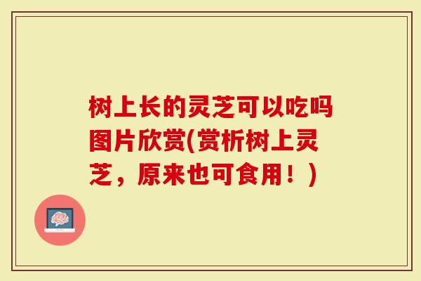 树上长的灵芝可以吃吗图片欣赏(赏析树上灵芝，原来也可食用！)