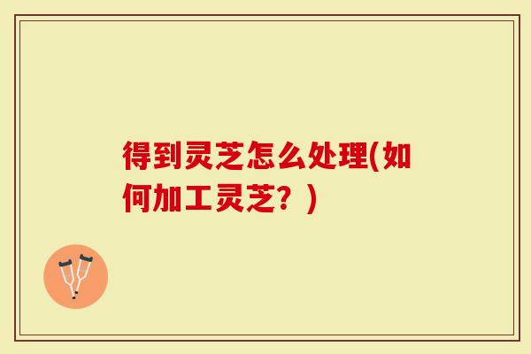 得到灵芝怎么处理(如何加工灵芝？)