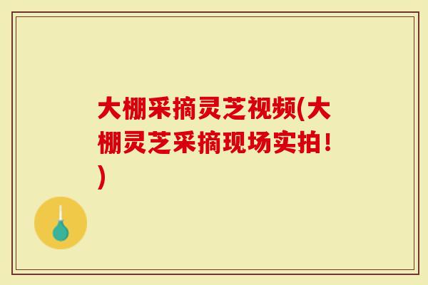 大棚采摘灵芝视频(大棚灵芝采摘现场实拍！)