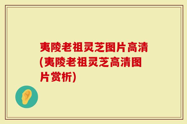 夷陵老祖灵芝图片高清(夷陵老祖灵芝高清图片赏析)