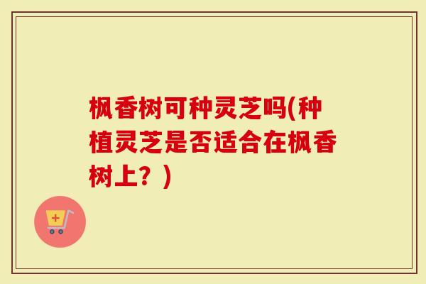 枫香树可种灵芝吗(种植灵芝是否适合在枫香树上?)-第1张图片-灵芝大师 枫香树可种灵芝吗(种植灵芝是否适合在枫香树上?)-第1张图片-灵芝大师