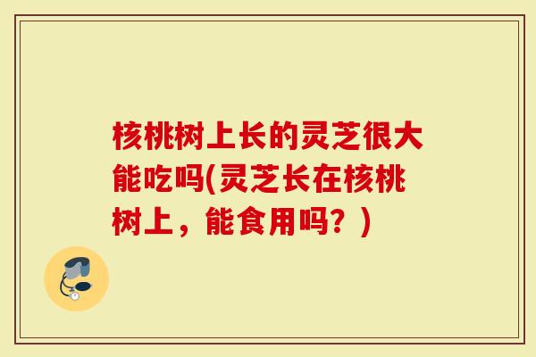 核桃树上长的灵芝很大能吃吗(灵芝长在核桃树上，能食用吗？)