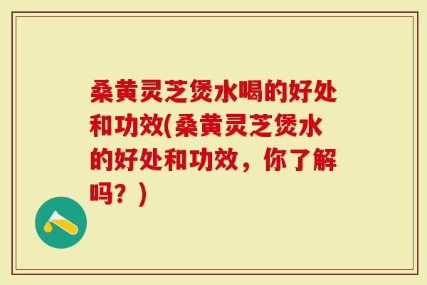 桑黄灵芝煲水喝的好处和功效(桑黄灵芝煲水的好处和功效，你了解吗？)