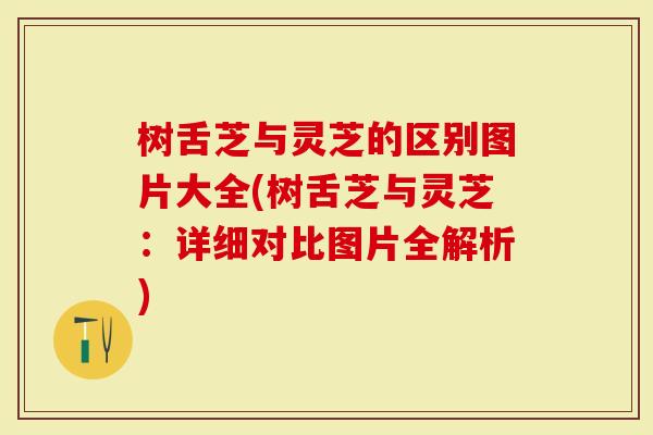 树舌芝与灵芝的区别图片大全(树舌芝与灵芝：详细对比图片全解析)