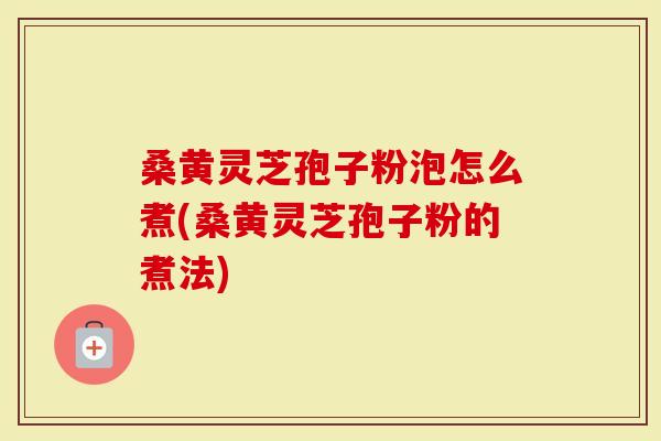 桑黄灵芝孢子粉泡怎么煮(桑黄灵芝孢子粉的煮法)