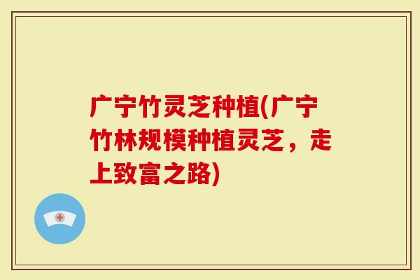 广宁竹灵芝种植(广宁竹林规模种植灵芝，走上致富之路)