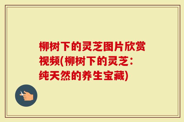 柳树下的灵芝图片欣赏视频(柳树下的灵芝：纯天然的养生宝藏)