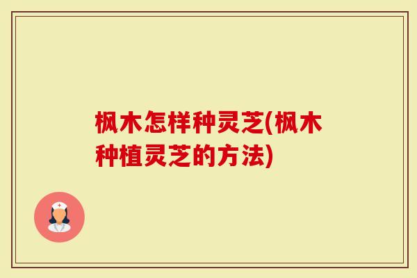 枫木怎样种灵芝(枫木种植灵芝的方法)