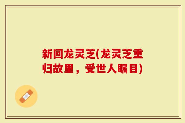 新回龙灵芝(龙灵芝重归故里，受世人瞩目)