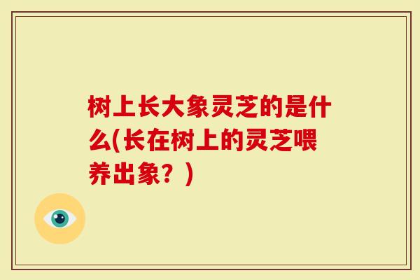 树上长大象灵芝的是什么(长在树上的灵芝喂养出象？)