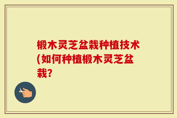 椴木灵芝盆栽种植技术(如何种植椴木灵芝盆栽？