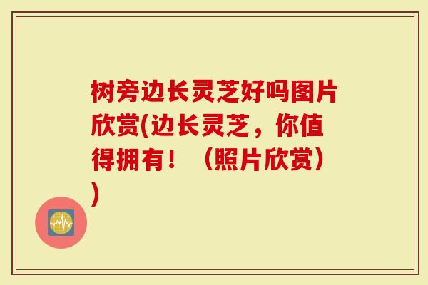 树旁边长灵芝好吗图片欣赏(边长灵芝，你值得拥有！（照片欣赏）)