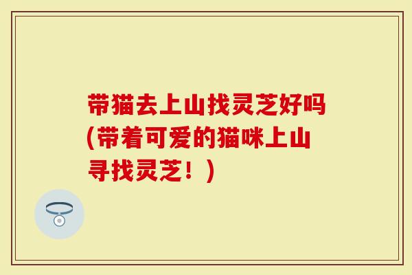带猫去上山找灵芝好吗(带着可爱的猫咪上山寻找灵芝！)