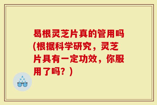 曷根灵芝片真的管用吗(根据科学研究，灵芝片具有一定功效，你服用了吗？)