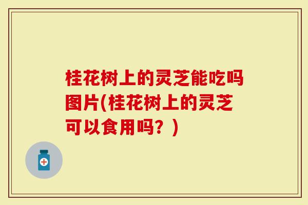 桂花树上的灵芝能吃吗图片(桂花树上的灵芝可以食用吗?)-第1张图片-灵芝大师 桂花树上的灵芝能吃吗图片(桂花树上的灵芝可以食用吗?)-第1张图片-灵芝大师