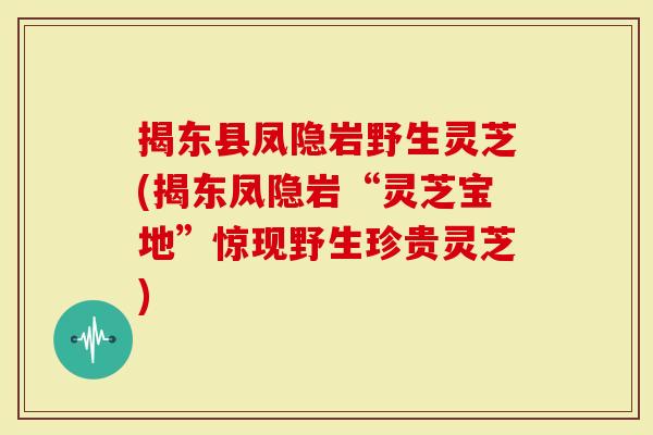 揭东县凤隐岩野生灵芝(揭东凤隐岩“灵芝宝地”惊现野生珍贵灵芝)