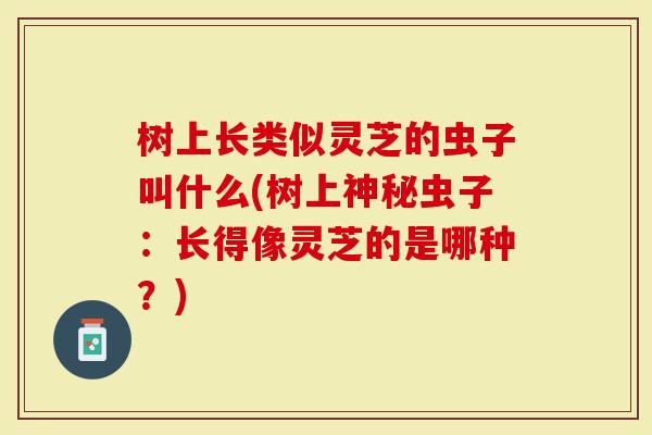 树上长类似灵芝的虫子叫什么(树上神秘虫子:长得像灵芝的是哪种?)-第1张图片-灵芝大师 树上长类似灵芝的虫子叫什么(树上神秘虫子:长得像灵芝的是哪种?)-第1张图片-灵芝大师