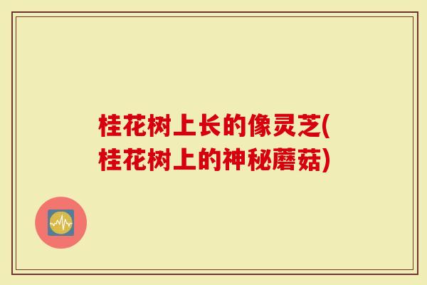 桂花树上长的像灵芝(桂花树上的神秘蘑菇)